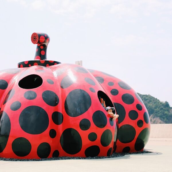 Photo The Art of the Bounce: Key Considerations in Inflatable Design