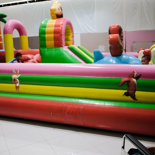 Photo "Party On! What You Need to Know to Start a Thriving Bounce House Business"