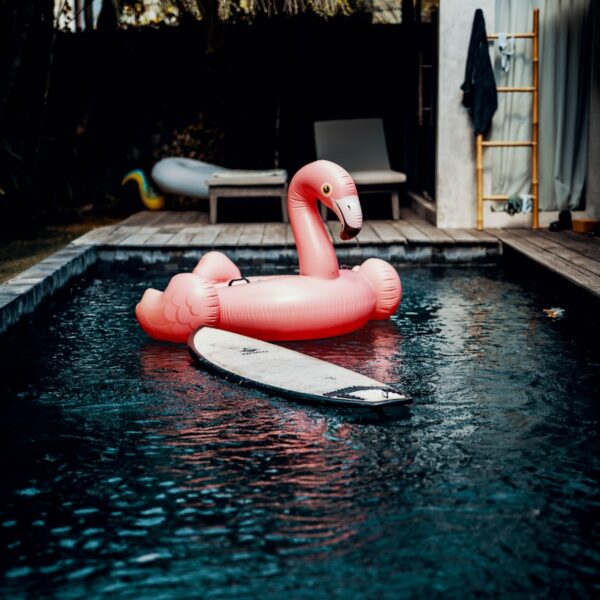 Photo "From Dream to Delivery: Essential Steps for Starting Your Inflatable Rental Company"