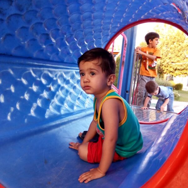 Photo "More Than Just Fun: The Business Side of Bounce House Rentals"